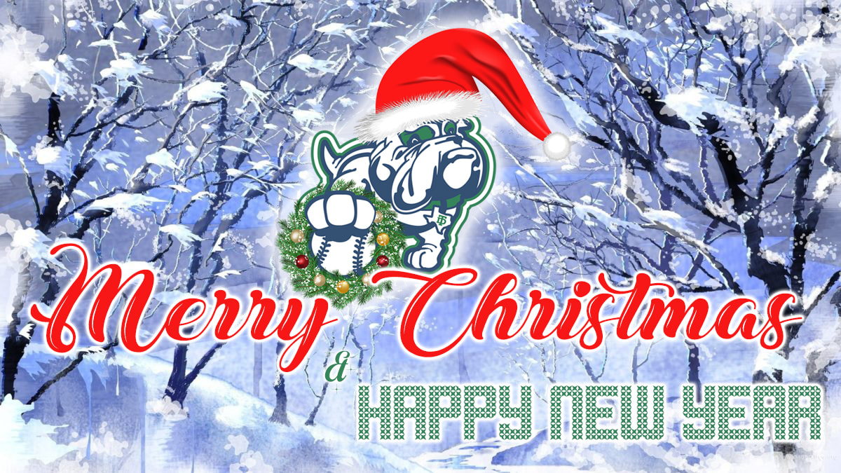 Merry Christmas and Happy New Year - Texas Dawgs